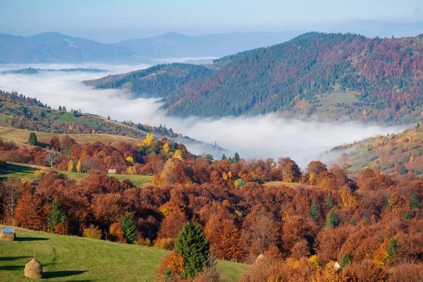 Úžasné Podzimní Ráno Karpatských Horách Barevné Kopce Slunci Mlha Sedí — Stock fotografie