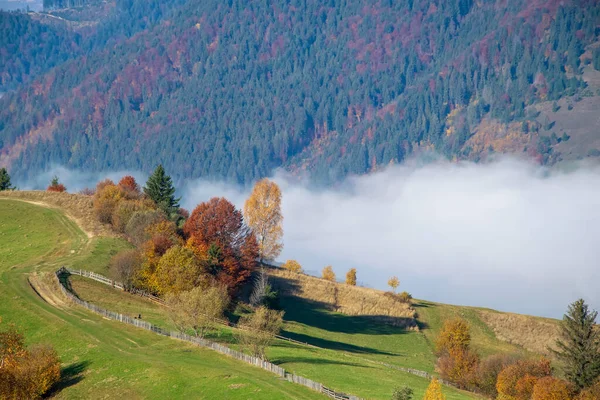 Amazing Autumn Morning Carpathian Mountains Colorful Hills Sunlit Dirt Road — Stock Photo, Image