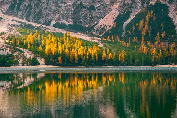 Cenário Outono Braies Lake Dolomite Alps Itália Falésias Árvores Coloridas — Fotografia de Stock
