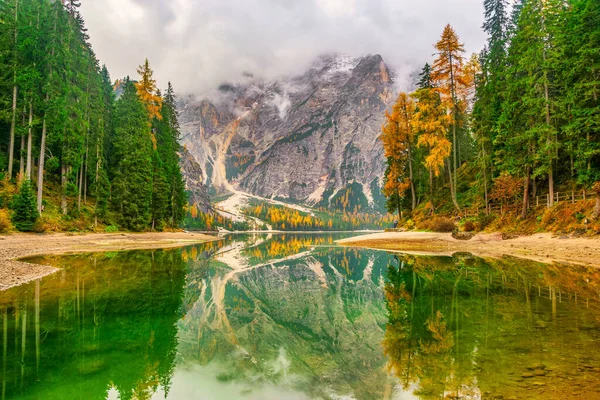 Autumn Scenery Lake Braies Lago Braies Yellowed Trees Mountains Covered — Stock Photo, Image