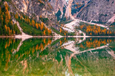 Güneş ışığıyla aydınlatılan ve Braies Gölü, Dolomite Alpleri, İtalya 'nın su yüzeyine yansıtılan altın tarlaların manzarası.