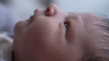 Yenidoğan 'ın yüzü, gözleri tamamen açık, erken yaşların merak ve masumiyeti, hassas cildini ve bebeğin yüz hatlarının ince detaylarını vurguluyor..