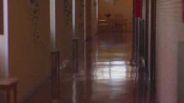 Parlak yansıtıcı zemini olan boş koridor, pencerelerden gelen yumuşak doğal ışık, duvarlar boyunca dekoratif bitkiler, sakin ve sessiz iç atmosfer, huzurlu ruh hali.