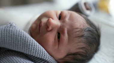 Yeni doğmuş bir bebeğin dinlenme ve geniş gözlerle bakma görüntüsü, erken yaşlardaki merak ve masumiyet anları, besleyici bir çevrede sıcaklık ve konforla çevrili..