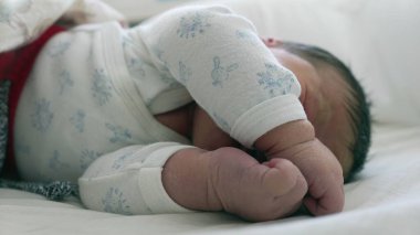 Yeni doğan bebek kıvrılıp uyuyor. Rahat ve güvenli bir ortamda çocukluğunun huzurunu ve huzurunu vurguluyor.