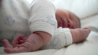 Yeni doğmuş bir bebeğin eline odaklanarak uyuduğu yakın plan SD 480p 'lik barışçıl bir ortamda çocukluk döneminin hassas ve hassas detaylarını yakaladığı fotoğraf.