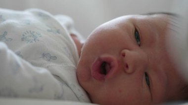 Yeni doğmuş bebek yatakta yatıyor, gözleri sonuna kadar açık, merakla etrafı keşfediyor. Bebek yüzü merak ve ilgi gösteriyor, doğal, yumuşak ışık içeride.