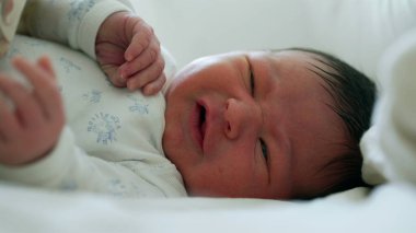 Yeni doğan bebeğin gözleri açık bir şekilde yüzünü buruşturması, yaşamın ilk ayı boyunca ilk ifadeleri ve hareketleri göstermesi, bebeklik, gelişme ve yeni yaşam-SD 480p 'sinin başlangıcı