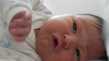 Yeni doğmuş bir bebeğin, ilk ayın karakteristik özelliklerini merak ve hareketlerle somurtması ve hareket etmesi erken dönem temaları için mükemmel. SD 480 p