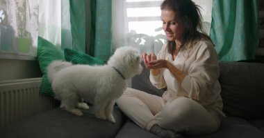 Küçük beyaz köpekle iç mekanda etkileşim halinde olan bir kadın, rahat ev ortamında eğlenerek besleniyor, minderlerle ve parlak pencerelerle çevrili.
