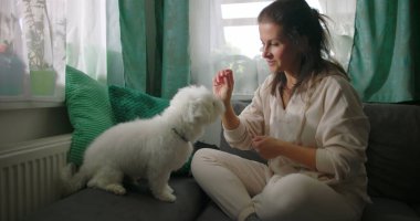 Küçük beyaz köpekle iç mekanda etkileşim halinde olan bir kadın, rahat ev ortamında eğlenerek besleniyor, minderlerle ve parlak pencerelerle çevrili.