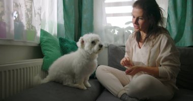Küçük beyaz köpekle iç mekanda etkileşim halinde olan bir kadın, rahat ev ortamında eğlenerek besleniyor, minderlerle ve parlak pencerelerle çevrili.