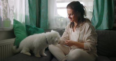 Küçük beyaz köpekle iç mekanda etkileşim halinde olan bir kadın, rahat ev ortamında eğlenerek besleniyor, minderlerle ve parlak pencerelerle çevrili.