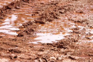 Yol, su birikintisi ve çamur yağmur sonra tekerlek izleme. İzleme toprak traktör, tarak, Araba, otomotiv lastik çamurlu yolda izler. Yağmurlu bir gün göletlerde olan Sandy yol ülkede. Arka plan, doku.