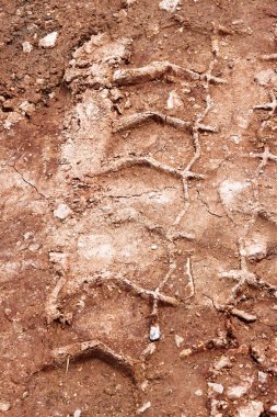 Traktör, Ekskavatör, Araba, çamurlu izinde otomotiv lastik izleri. Yağmur sonra yolda çamur ve tekerlek iz. Kamyon tekerleği parça yağmurlu günde ile çamur. Arka plan, doku, desen, malzeme, duvar kağıdı.