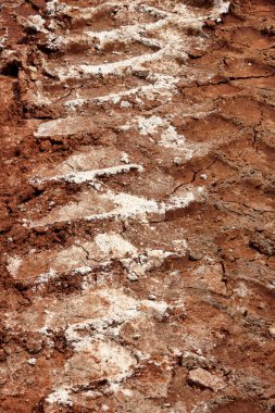 Traktör, Ekskavatör, Araba, çamurlu izinde otomotiv lastik izleri. Yağmur sonra yolda çamur ve tekerlek iz. Kamyon tekerleği parça yağmurlu günde ile çamur. Arka plan, doku, desen, malzeme, duvar kağıdı.