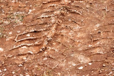 Traktör, Ekskavatör, Araba, çamurlu izinde otomotiv lastik izleri. Yağmur sonra yolda çamur ve tekerlek iz. Kamyon tekerleği parça yağmurlu günde ile çamur. Arka plan, doku, desen, malzeme, duvar kağıdı.