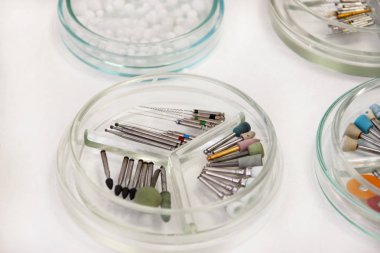 Diş matkap mermilerin. Diş ekipman, matkaplar, aşındırıcılar, diş bur Lehçe bur Petri kabına cam içinde yuvarlak yüzey taşlama, kanallar için. Araçları iş dişçi için. Diş Hekimliği için belirli Tıbbi aygıtlar.