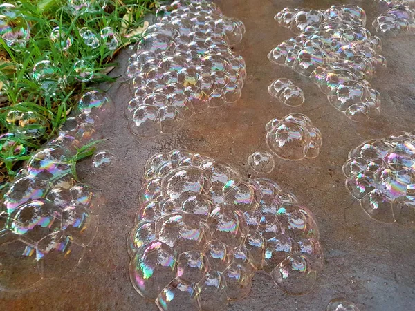 Big colorful soap bubbles in nature. Many bubbles soap on floor of garden outdoor, beautiful natural environment. Abstract soap bubbles background. Soap bubbles and field behind it green nature.