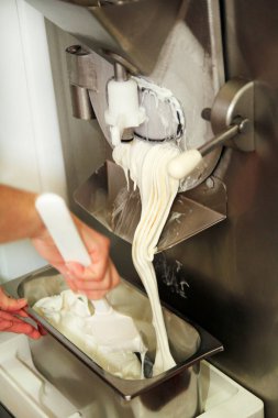 Kadın pudra Ice cream maker makina üzerinde çalışıyor. Vanilya ve beyaz çikolatalı dondurma ve üreten çelik konteyner içine düşüyor. İtalyan kremalı dondurma endüstriyel hazırlanması.