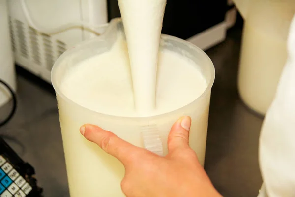 Los Ingredientes Del Helado Mezclan Con Licuadora Chef Está Mezclando —  Fotos de Stock