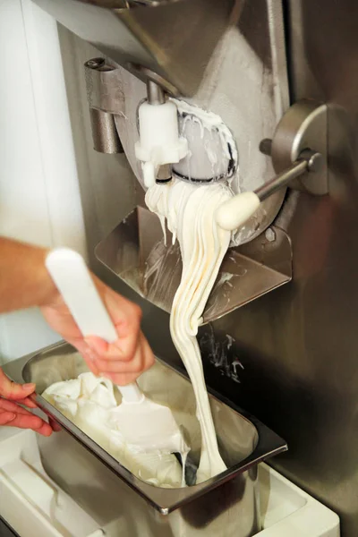 Female confectioner is working on ice cream maker machine. Producing vanilla and white chocolate ice cream and it falls into steel container. Industrial preparation of italian creamy ice cream.