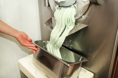 Şef üniforma içinde kadın pudra Ice cream maker makina üzerinde çalışıyor. Nane dondurma lezzeti ve üreten çelik konteyner içine düşüyor. İtalyan kremalı dondurma endüstriyel hazırlanması.