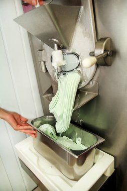 Şef üniforma içinde kadın pudra Ice cream maker makina üzerinde çalışıyor. Nane dondurma lezzeti ve üreten çelik konteyner içine düşüyor. İtalyan kremalı dondurma endüstriyel hazırlanması.