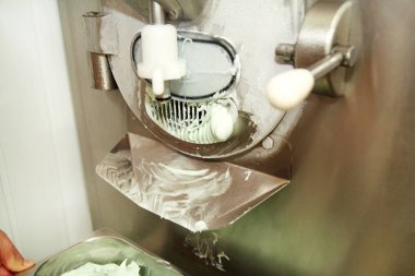 Dondurma yapma makinesi nane dondurma tatlar üretir ve çelik konteyner içine düşüyor. Kremalı dondurma endüstriyel hazırlanması. Nane dondurma makinesi ile üreten. Üretim, sanayi.