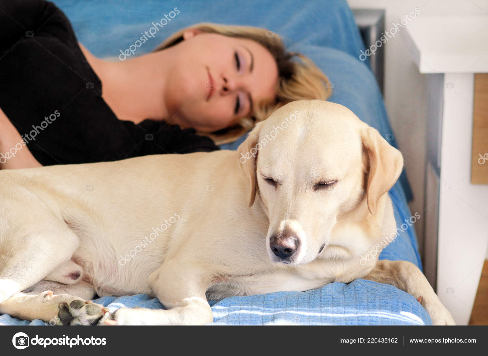 Woman With Cute Dogs At Home Handsome Girl Resting And