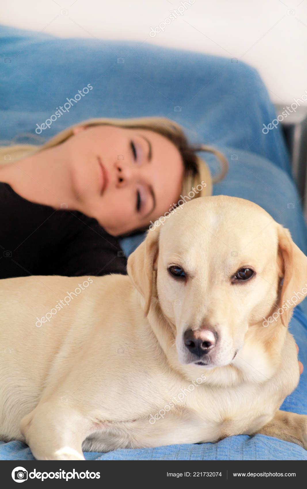 Woman Cute Dogs Home Handsome Girl Resting Sleeping Her Dog