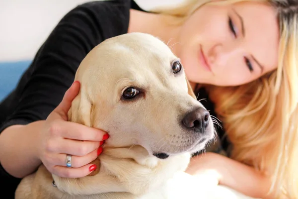 Woman with dog is resting in bed at home, relaxing in bedroom. Girl is petting with her dog. Portrait of cute yellow labrador retriever and her owner, enjoying on blue bed, posing in front of camera.
