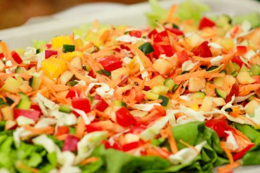 Karışık salata, meyve ve sebze ve değişik tatlar: taze domates, salatalık, lahana, yeşil salata, elma, havuç, armut, ananas, biber, portakal. Kaplumbağa evde ve Hayvanat Bahçesi için gıda beslenme.