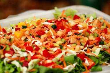 Karışık salata, meyve ve sebze ve değişik tatlar: taze domates, salatalık, lahana, yeşil salata, elma, havuç, armut, ananas, biber, portakal. Kaplumbağa evde ve Hayvanat Bahçesi için gıda beslenme.