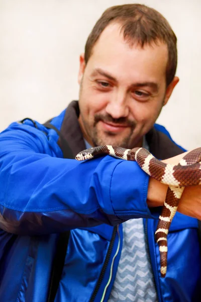 蛇と少年 手爬虫類共通王蛇ヘビの Lampropeltis Getula の種類で保持します エキゾチックな熱帯の冷血動物 動物園 自宅のペットをヘビします 非有毒なヘビ — ストック写真