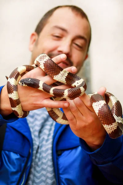 Garçon Avec Des Serpents Homme Tient Dans Ses Mains Reptile — Photo