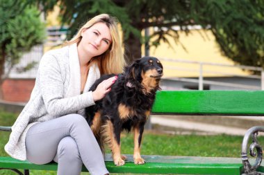Güzel kadın köpeğiyle oturuyor ve Şehir Parkı, ahşap Bank kamera önünde poz küçük karışık doğurmak. Sahibi ve sevimli yarım doğurmak köpek portre sahiptir, dinlenme, açık havada birlikte sevişme.