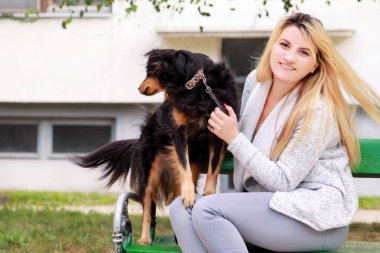 Güzel kadın köpeğiyle oturuyor ve Şehir Parkı, ahşap Bank kamera önünde poz küçük karışık doğurmak. Sahibi ve sevimli yarım doğurmak köpek portre sahiptir, dinlenme, açık havada birlikte sevişme.