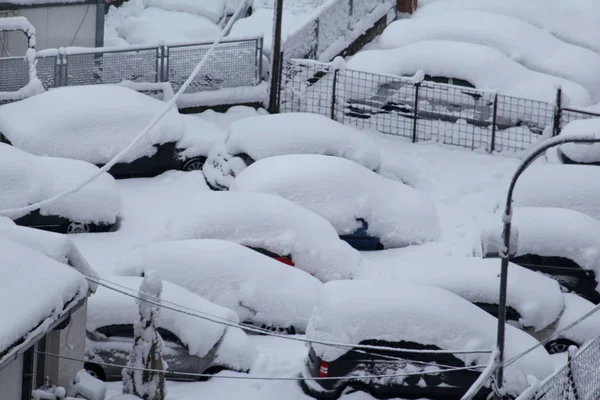 Cars on parking and street covered with big snow layer. View of winter and snowing on city street with snowflakes. In snowy season, motor vehicles with lot snow because of snow drifting in winter day.