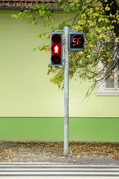 Traffic light on pedestrian crossing. Counter is counting for duration of red light. Waiting to start green light and safe crossing over pedestrian, walking on crosswalk over street and road.