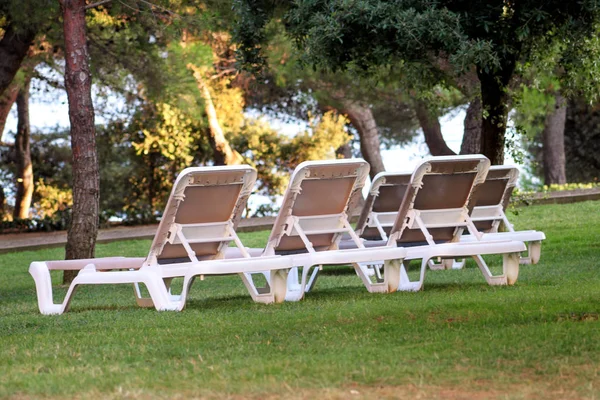 Plage exotique sur la mer Méditerranée, chaises longues pour bronzer et se détendre sur l'herbe dans le jardin tropical de l'hôtel de luxe. Des chaises longues sur la pelouse attendent les touristes. Bord de mer idyllique en saison estivale . — Photo