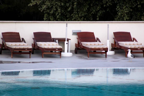 Piscine de l'hôtel de vacances de luxe, vue imprenable et scène de mouette profitant seul. Détendez-vous près de la piscine avec rampe, chaises longues, chaises longues et parasols attendant les touristes dans la station tropicale . — Photo
