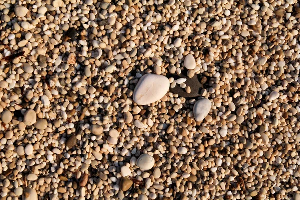 화려한 돌 이국적인 바위 해변입니다. 질감, 재료, 패턴, 배경, 작은 여러 가지 빛깔의 바위 모래 돌 해변의 벽지. 자연 환경. 여름시즌, 여행, 휴가, 휴가. — 스톡 사진