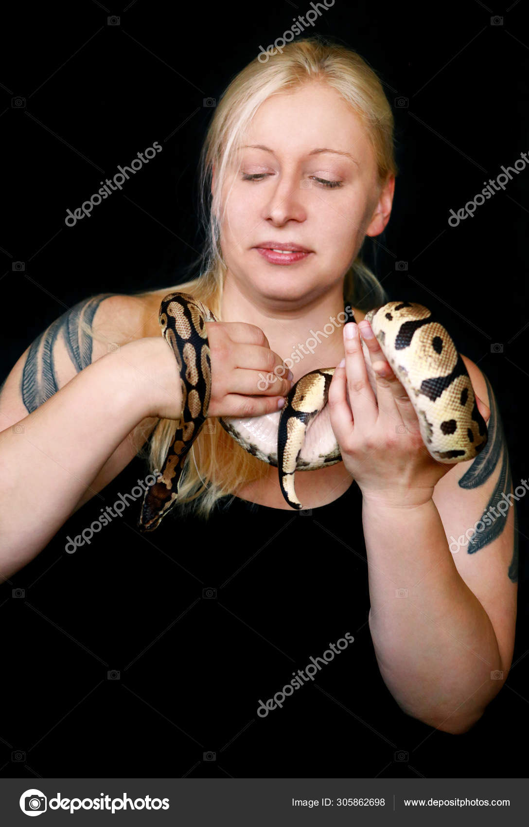 Portrait of girl with Royal Python snake. Beautiful woman holds snake ...