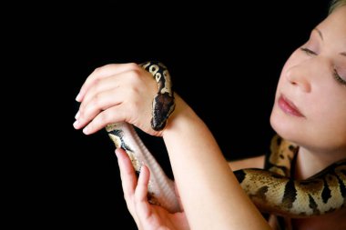 Royal Python yılanı olan kızın portresi. Kadın Ball Python yılanı boynunda ve elinde tutar, kamera önünde poz. Egzotik tropikal soğukkanlı sürüngen hayvan, Python regius tür yılan.