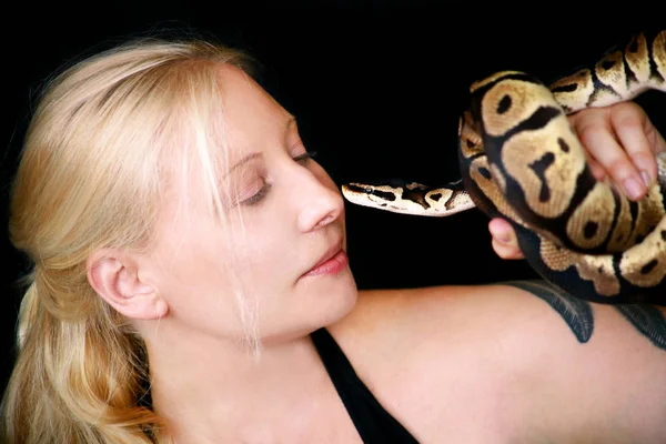 Portrait of girl with Royal Python snake. Beautiful woman holds snake in hands and posing in front of camera. Exotic tropical cold-blooded reptile animal, Ball Python (Python regius) species of snake. — Stock Photo, Image
