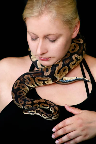 Porträt eines Mädchens mit königlicher Pythonschlange. Frau hält Pythonschlange um Hals und Hände und posiert vor der Kamera. exotisches tropisches Kaltblüter-Reptil, Python regius-Art Schlange. — Stockfoto