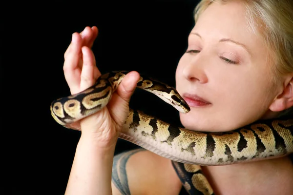 Portrait of girl with Royal Python snake. Woman holds Ball Python snake around neck and in hands, posing in front the camera. Exotic tropical cold-blooded reptile animal, Python regius species snake. — Stock Photo, Image