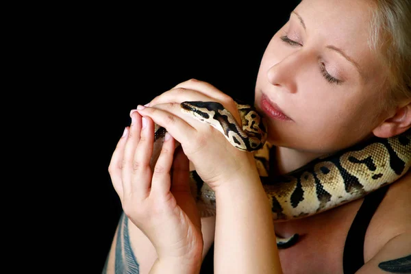 Portrait of girl with Royal Python snake. Woman holds Ball Python snake around neck and in hands, posing in front the camera. Exotic tropical cold-blooded reptile animal, Python regius species snake. — Stock Photo, Image