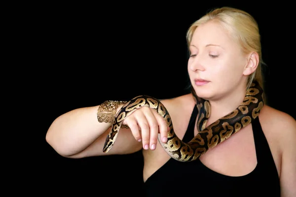Portrait of girl with Royal Python snake. Woman holds snake in hands with beauty jewelry and posing in front of camera. Exotic tropical cold-blooded reptile, Ball Python (Python regius) species snake. — Stock Photo, Image